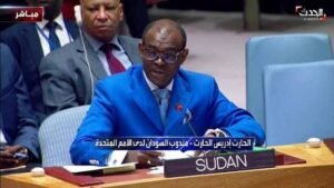 تحيز أممي واضح للميلشيا والإمارات.. صراع السودان ومجلس الأمن.. المعركة الخاسرة