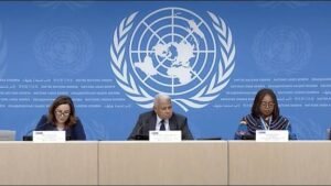 د رجاء عبدالله حمد الزبير: بعثة تقصي الحقائق الدولية في السودان.. بين الرفض والتعاون