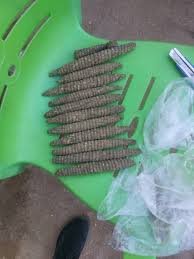 محاصرة عصابات ٩ طويلة ببحري.. تفاصيل مثيرة