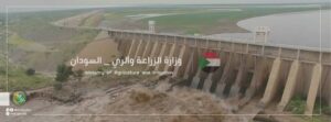 وزارة الزراعة والري تصدر بيانا عاجلا بشأن فيضان النيل 13 وزارة الزراعة والري تصدر بيانا عاجلا بشأن فيضان النيل