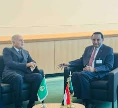 تعهدات من جامعة الدول العربية بدعم إعادة التنمية بالسودان