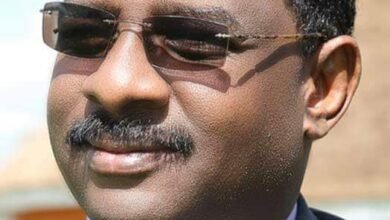 inbound8496199546594391871 3