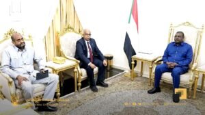 توجيهات سيادية بتنفيذ خطط الطاقات المتجددة