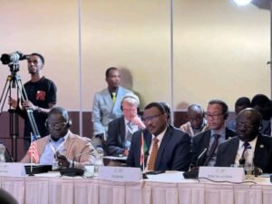 لقاءات مثمرة لوزير المالية مع مسؤولين أفارقة بشأن إعمار السودان