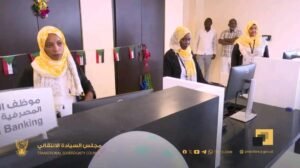 توجيهات سيادية للبنوك بضرورة تمويل برامج التنمية الاقتصادية 