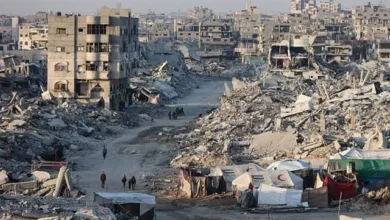 2c1329e0 af60 11f0 aa13 0b0479f6f42a.jpg