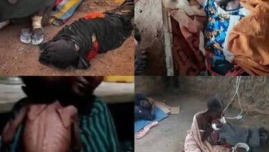 د عبدالعزيز الزبير باشا: رسالة حول الجرائم المروّعة التي ارتكبتها ميليشيا الدعم السريع المتمرّدة في غرب السودان 18 FB IMG 1761576002096