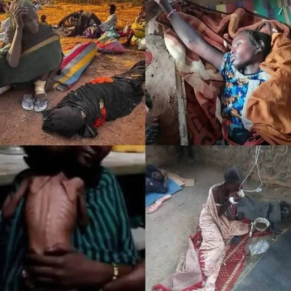 د عبدالعزيز الزبير باشا: رسالة حول الجرائم المروّعة التي ارتكبتها ميليشيا الدعم السريع المتمرّدة في غرب السودان 11 FB IMG 1761576002096