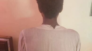 IMG 20251003 WA00271