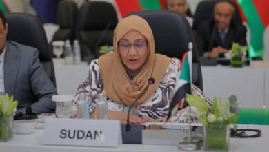 IMG 20251010 WA00241