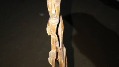 ضبط متهمة بحي الإنقاذ بحوزتها آثار قيمة 15 IMG 20251028 WA0037