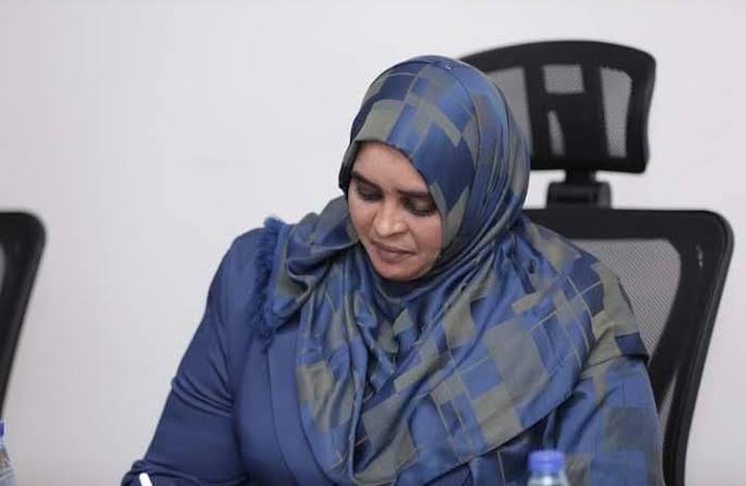 د أميرة كمال مصطفى: الجاليات السودانية.. جسر العبور نحو السودان الجديد 11 images 1 1
