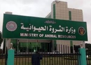 ولاية سنار تضع خططا للثروة الحيوانيّة دعماً للاقتصاد 