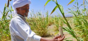 للمزارعين قضية عاجلة ومطالبات باستعجال تنفيذ قرار رئاسي!!