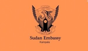 تعاون أكاديمي بين السودان وهذه الدولة 13 تعاون أكاديمي بين السودان وهذه الدولة