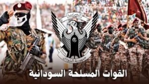 وصول تعزيزات عسكرية ضخمة محور كردفان 