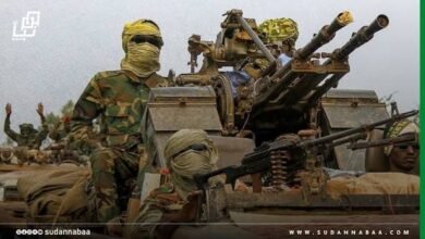 مكاتب عسكرية مزيفة بهذه المنطقة.. تفاصيل خطيرة