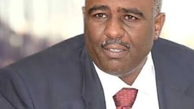 إبراهيم شقلاوي: سد النهضة وسؤال الأمن الغذائي؟