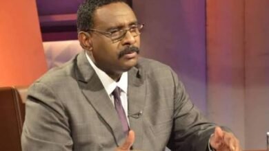 ضياء الدين بلال: معركتنا مع الأفيال أما الظلال فلا!