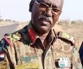 ولاية سنار تضع خططا للثروة الحيوانيّة دعماً للاقتصاد 16 images 5 7