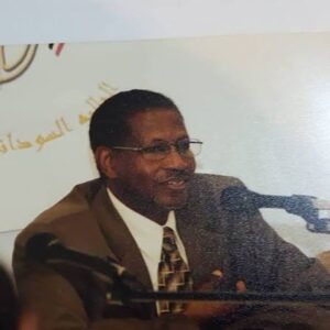 التيجاني عبد القادر حامد: قادةٌ مغفلون.. وأخطاءٌ قاتلة في الدبلوماسية