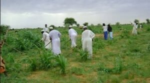 مسجل تنظيمات الإنتاج الزراعي يشرع في تنفيذ قرار رئاسي 