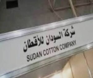 قرار بتعيين مدير جديد لشركة الأقطان السودانية