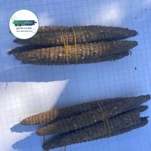 القبض على أخطر زعيمة عصابة بالخرطوم