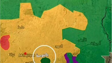 اضبط.. الإمارات تشارك في معركة بابنوسة 