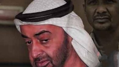 اضبط.. ديوان الرئاسة الإماراتي متورّط.. بالدليل القاطع! 16 IMG 20251107 WA0002