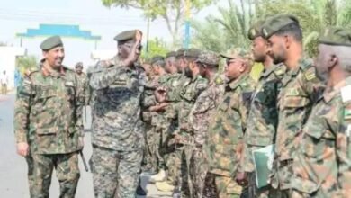 IMG 20251112 WA00092