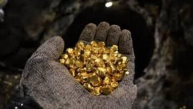 IMG 20251112 WA0010 1