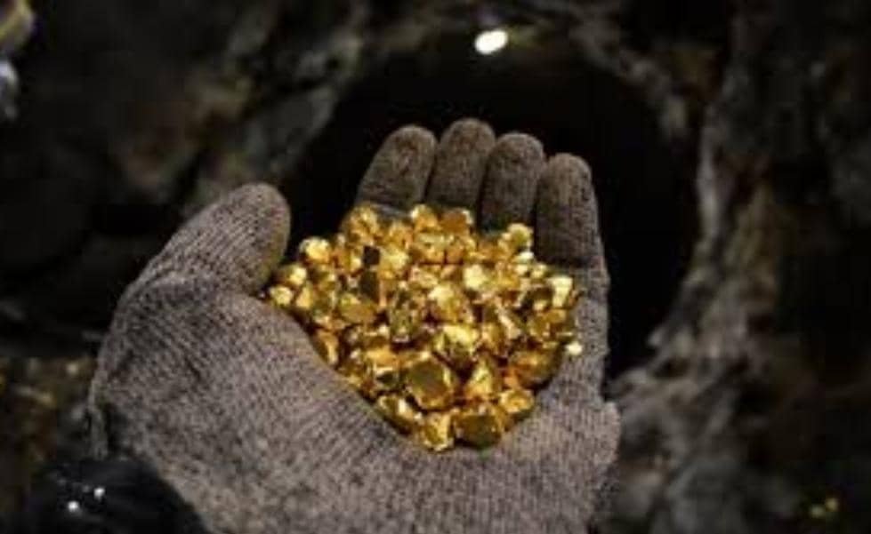 IMG 20251112 WA0010 1