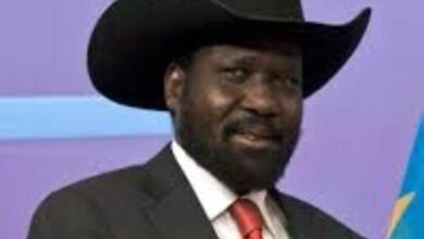 IMG 20251112 WA00131