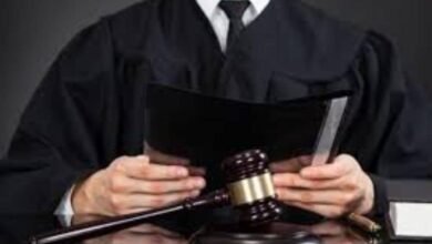 IMG 20251112 WA0018 1