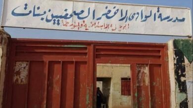 IMG 20251114 WA0007 1