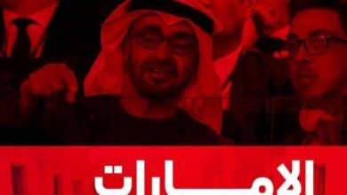 IMG 20251116 WA00061