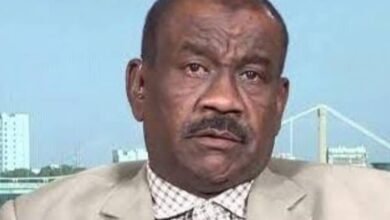 IMG 20251118 WA0004 1