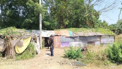 ازالة اوكار مريبة بالنيل الازرق 17 IMG 20251119 WA00241