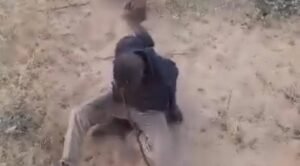 ‏الفاشر.. مشهد صادم.. طفل يعذب شخصا أعزل مقيد اليدين!!