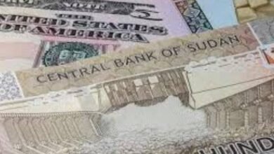 IMG 20251124 WA0008 1