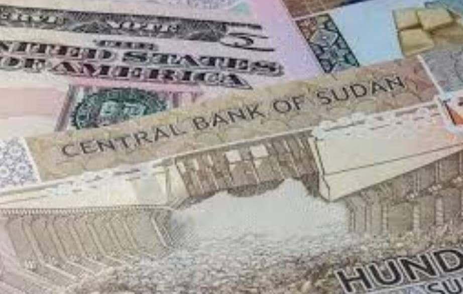 IMG 20251124 WA0008 1