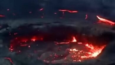 IMG 20251124 WA0011 1