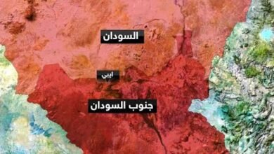 يا خبر..دقلو يقرر منح أبيي للجنوب 16 images 12 6