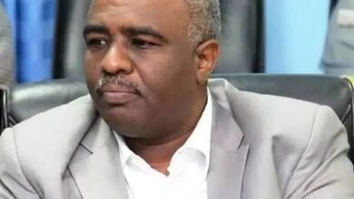 images 2025 11 12T174145.670