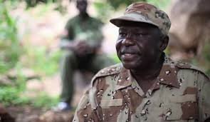 حركة الحلو تنفذ إجراءات قهرية بحق الشباب جنوب كردفان !!