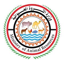 وزير الثروة الحيوانية يتحدث عن توسيع دائرة الإنتاج ورفد السوق العالمي بالمنتجات السودانية 11 وزارة الثروة الحيوانية