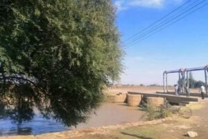 والي الجزيرة يتحدث عن الصناعات التحويلية والقيمة المضافة للمنتجات 13 والي الجزيرة يتحدث عن الصناعات التحويلية والقيمة المضافة للمنتجات