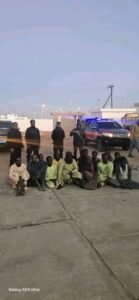 تفاصيل القبض على تجار إبل بدولة مجاورة