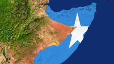 694eaa6c42360411b242d1e4